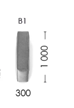B1