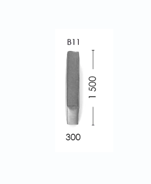 B11