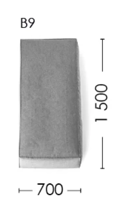B9