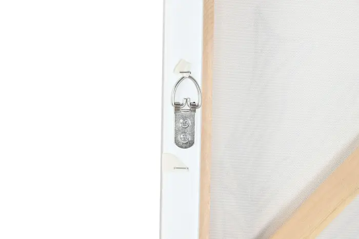 CU-204837 Botanica paveikslas