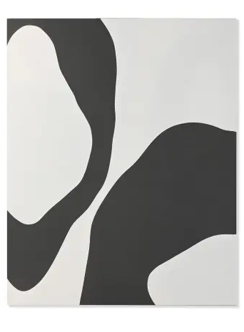 CU-220286-b fract paveikslas