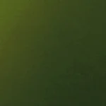 3. Dark Green
