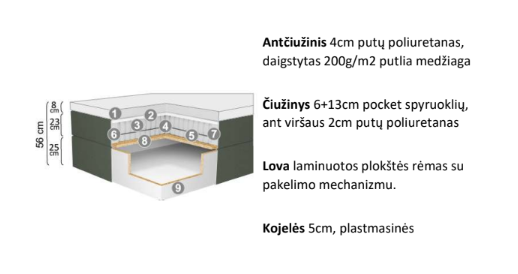 LOVA SU DĖŽE PREMIUM 10 BOX, Galvūgalis Edge