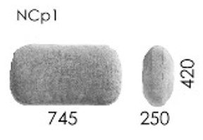 NCp1 Nancy