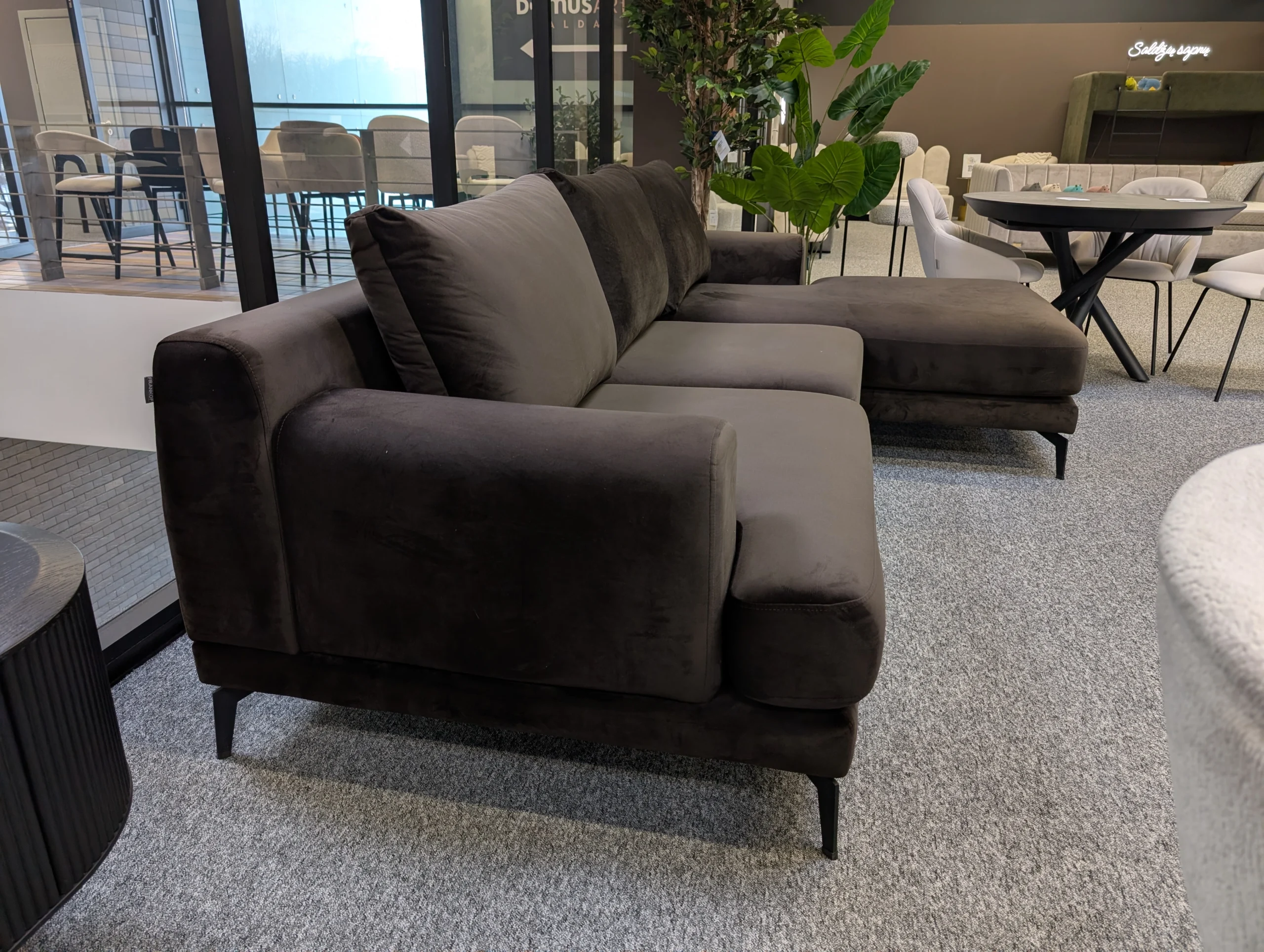 SYDNEY Kampas Rudas - Image 2