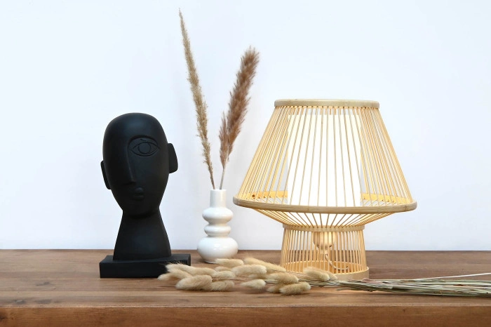 BRANCH SET 6 DRY FLOWER 3X3X65 2 MOD.