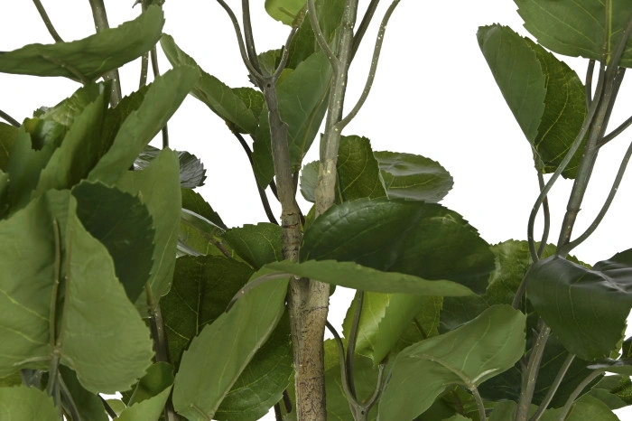 TREE PE CEMENT 80X80X180 GREEN