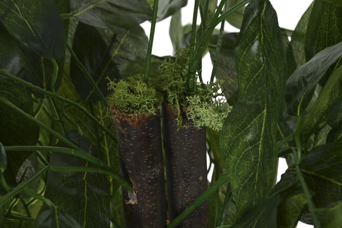 VTREE POLYESTER WOOD 80X80X150 MANGO GREEN