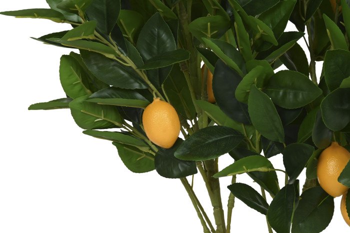 TREE PE FOAM 40X40X80 GREEN