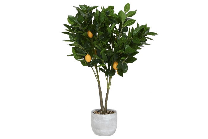 TREE PE FOAM 40X40X80 GREEN