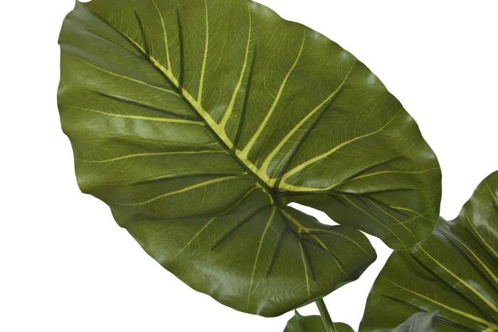PLANT PE 64X64X120 TARO GREEN