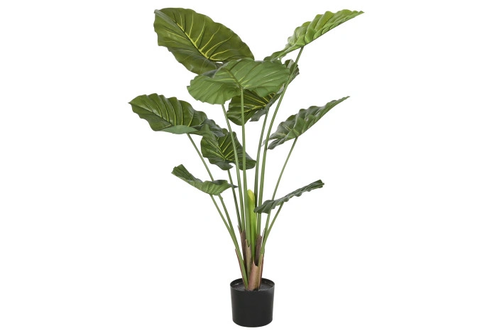 PLANT PE 64X64X120 TARO GREEN